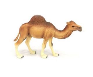 Obrázek z Figurka Velbloud jednohrbý dromedár 14cm 